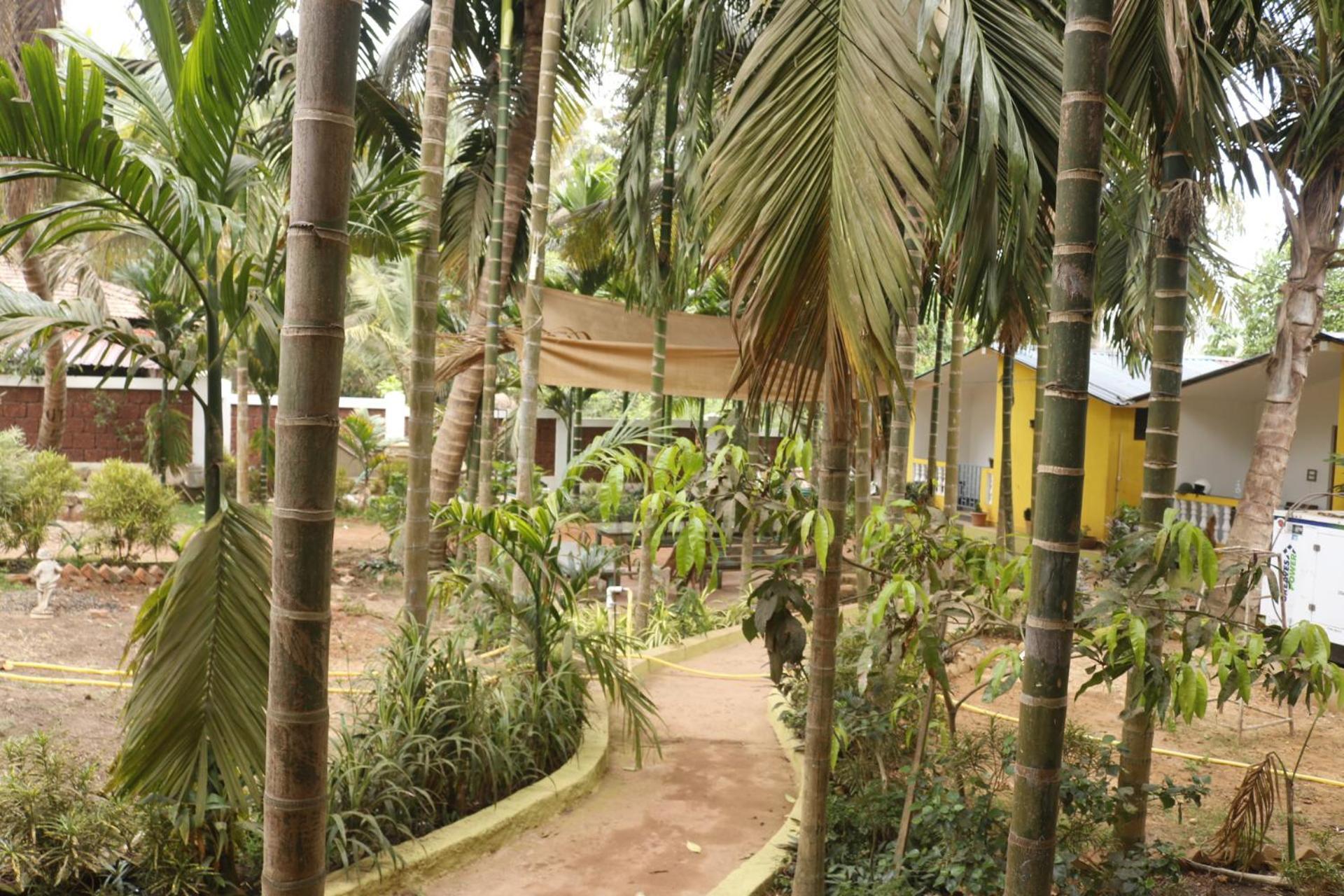 Lavish Exotic Hotel & Apartments Arambol Exterior photo
